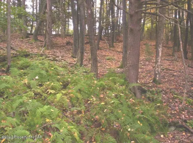 09, 10, 11 Laincz Ave, Harveys Lake in Harveys Lake