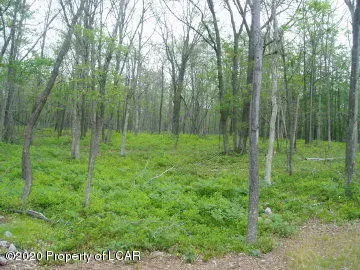 42 Sandspring Road, Bear Creek in Bear Creek
