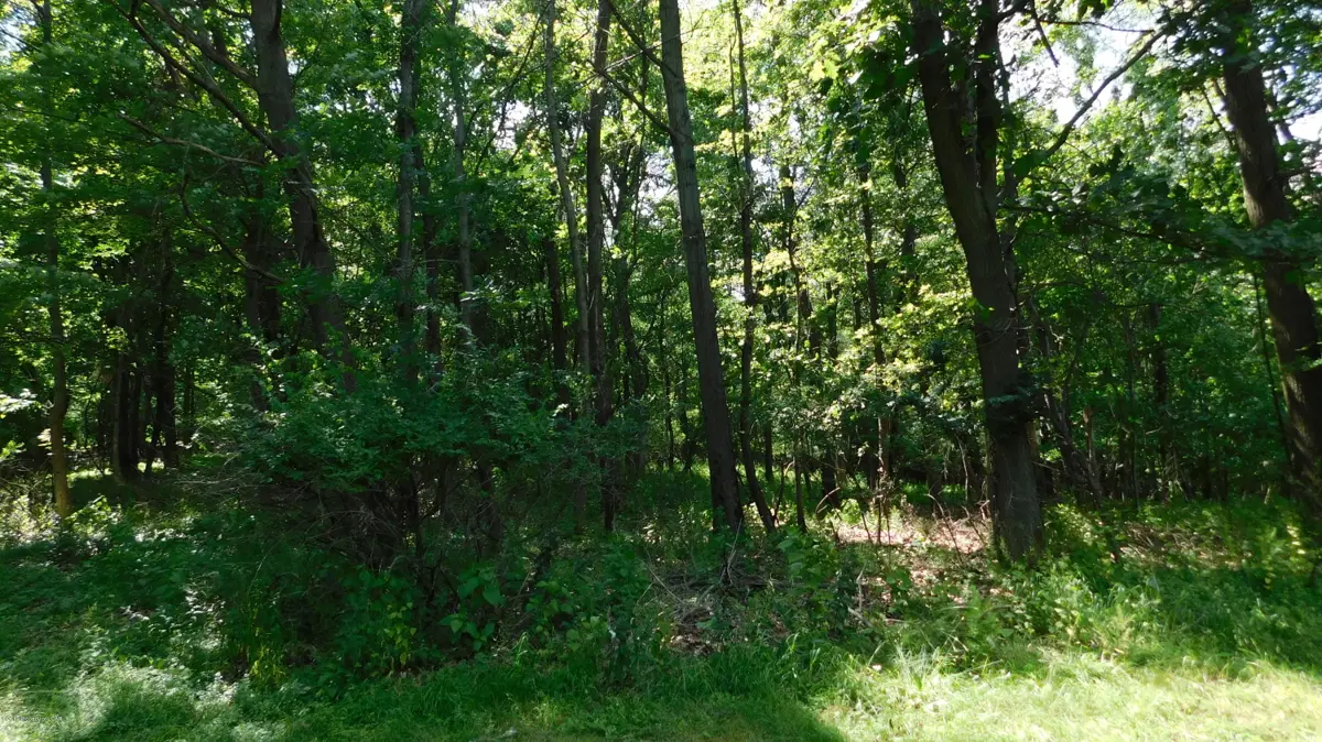 116 Rear N. Pioneer Ave., Shavertown in Shavertown