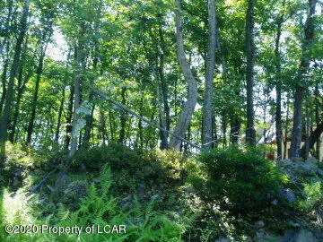 155 Pine Valley Drive, Hazle Township in Hazle Township