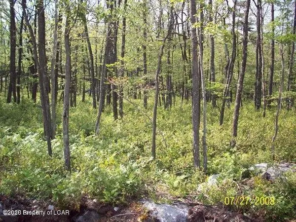 TW Lot 489 Scots Pine Lane, Hazle Township in Hazle Township