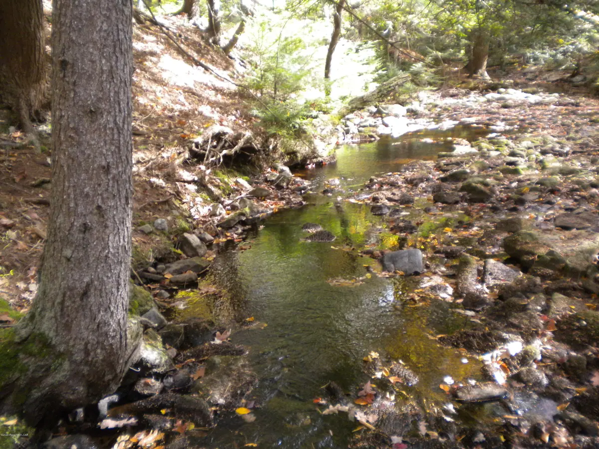 Suscon Road, Bear Creek in Bear Creek