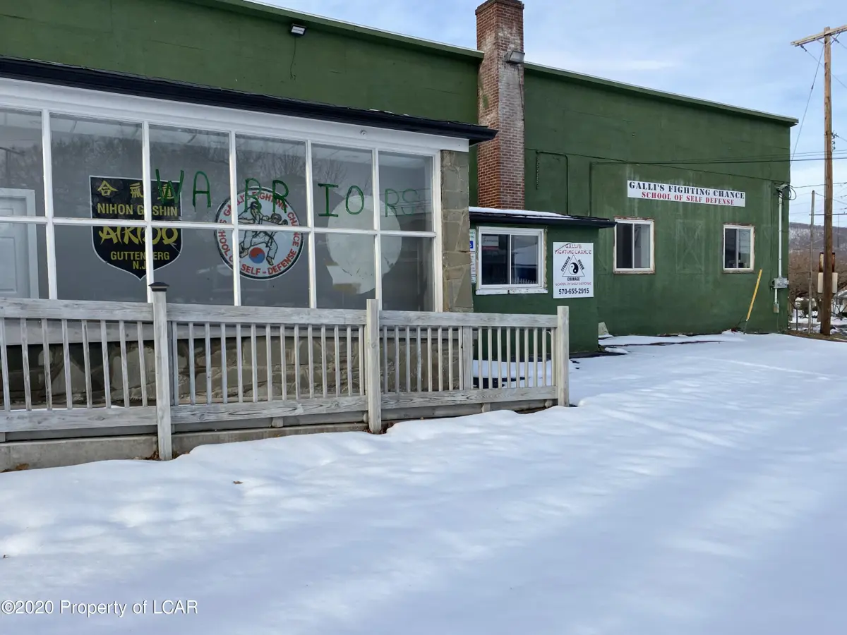 54 Tunkhannock Avenue, Exeter in Exeter