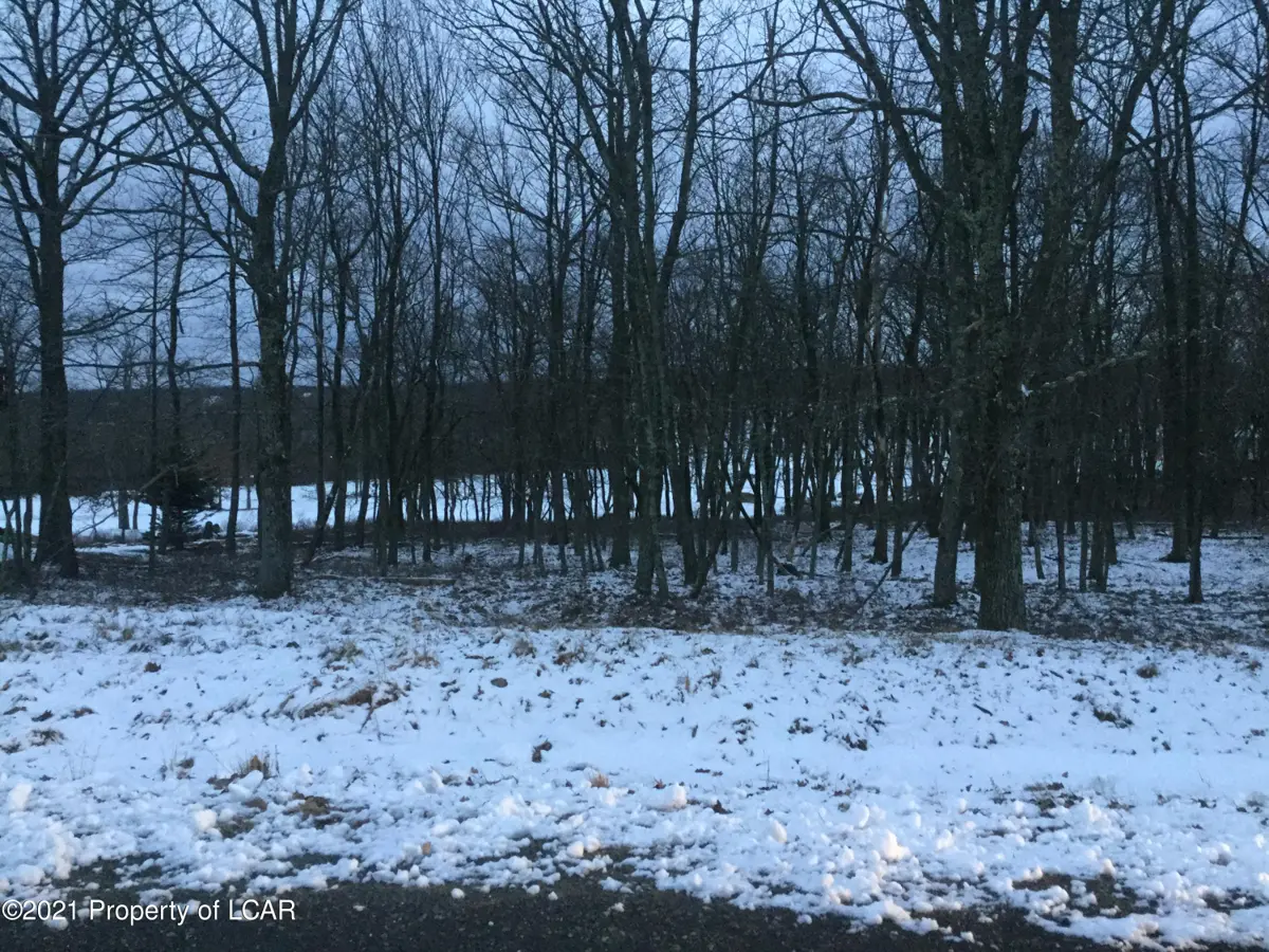 LV Lot 489 Buttonbush Lane, Hazle Township in Hazle Township