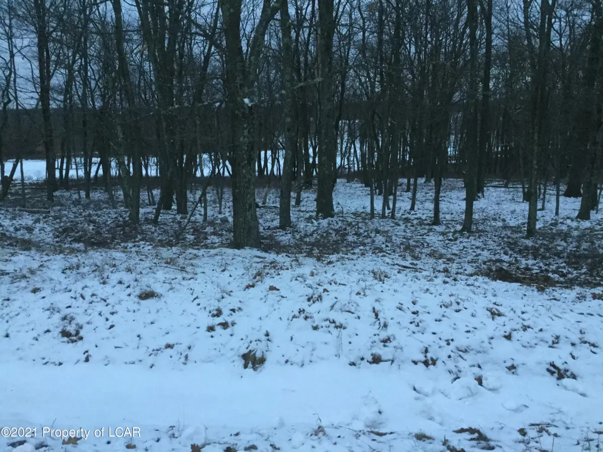 LV Lot 491 Buttonbush Lane, Hazle Township in Hazle Township