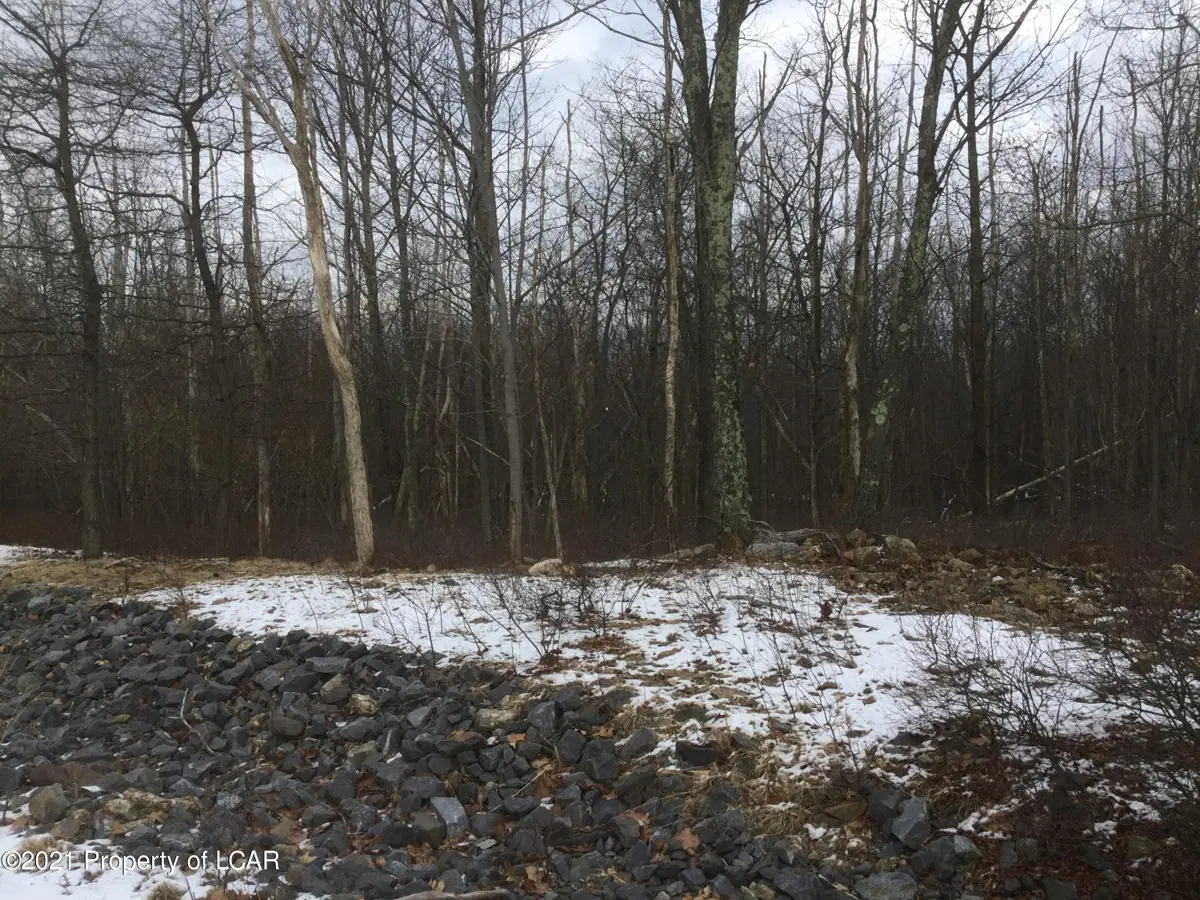 TT Lot 234 Tamarillo Circle, Hazle Township in Hazle Township