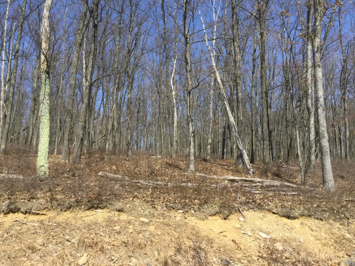 TT 108 Huckleberry Lane, Hazle Township in Hazle Township
