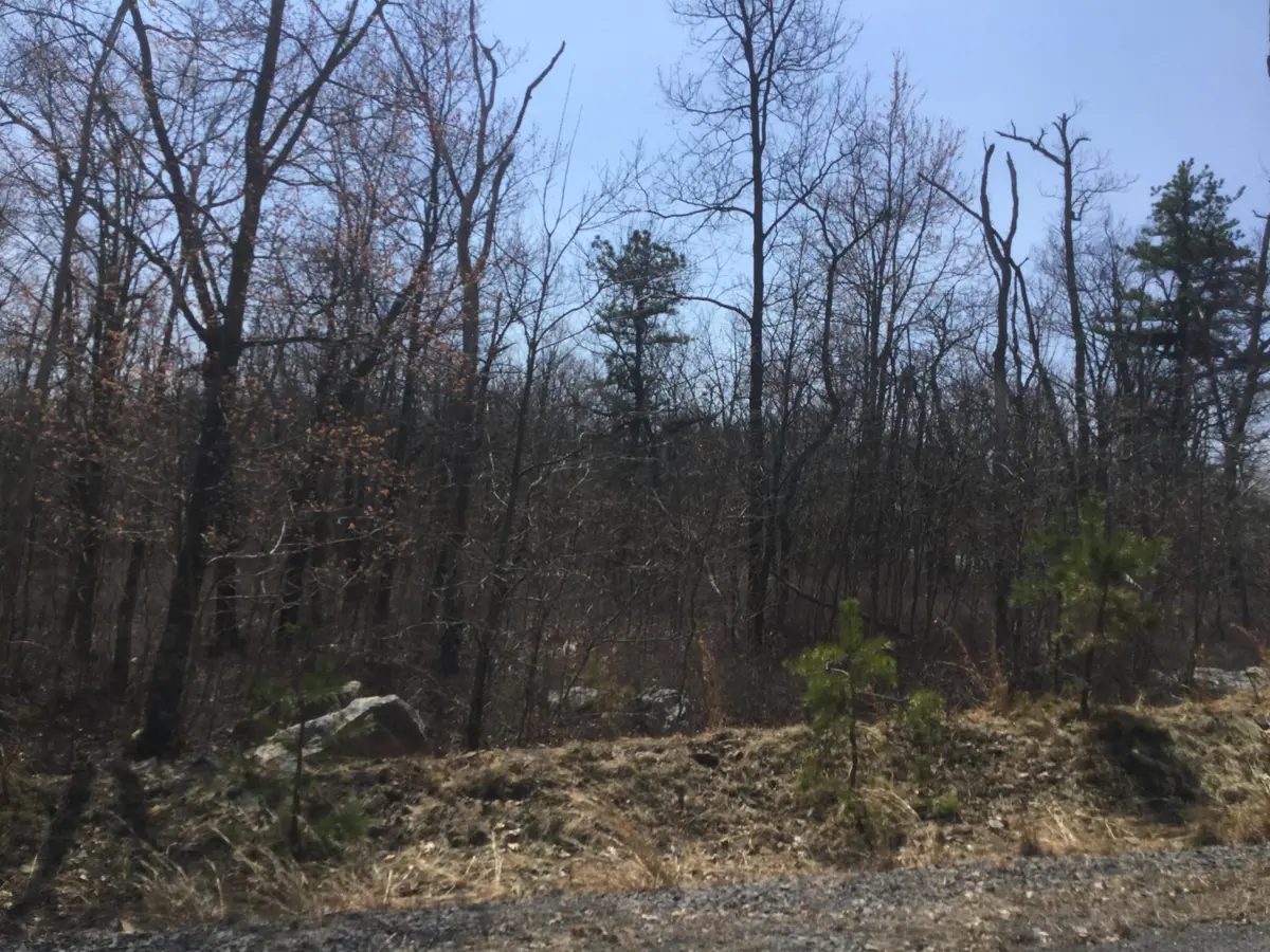 WSS6 Lot34 Blackhawk Drive, Hazleton in Hazleton