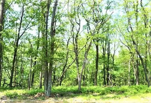 LV Lot 497 Buttonbush Lane, Hazle Township in Hazle Township