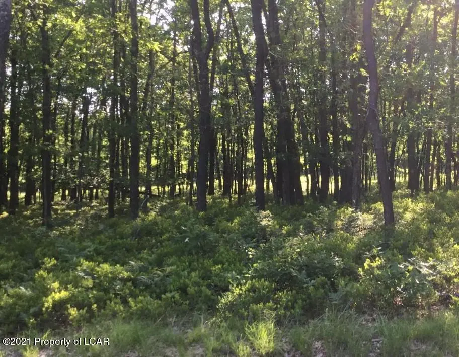 ERII 236 Glen Eagles Drive, Hazle Township in Hazle Township
