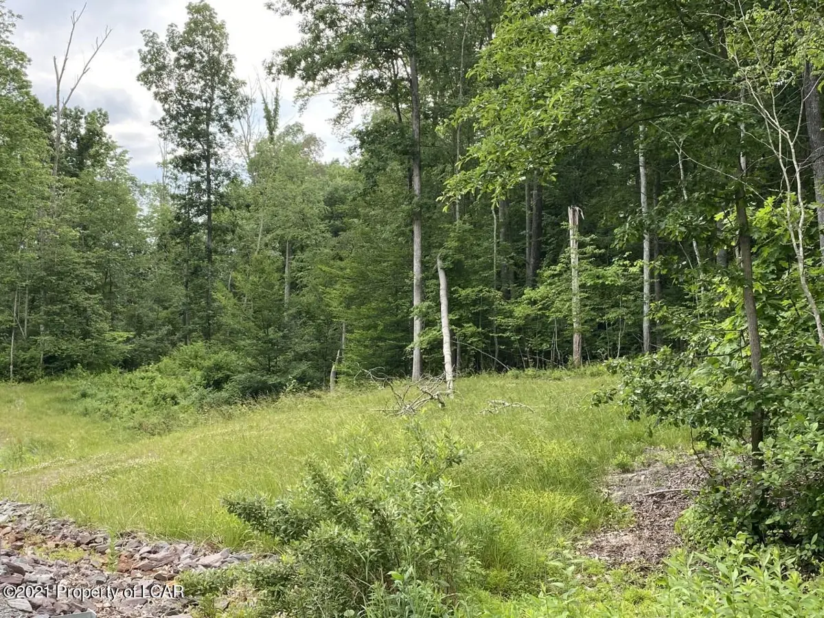 Hunlock Harveyville Road, Shickshinny in Shickshinny