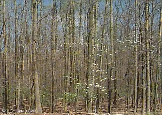 EA Lot 060 Tuscarora Drive, Hazleton in Hazleton