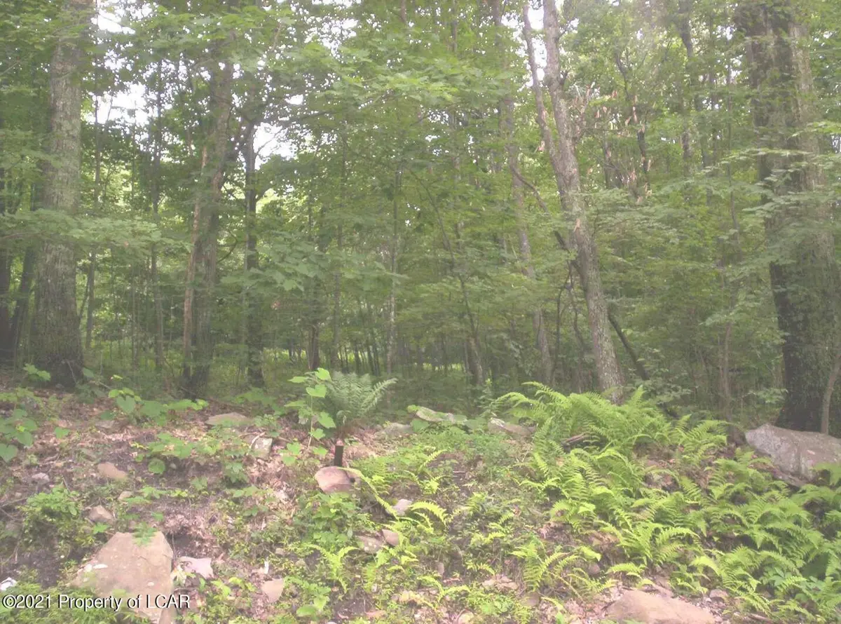 Lot 006 Mountain Road, Jackson Township in Jackson Township