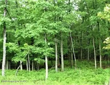 NR Lot 174 Manayunk Avenue, Hazle Township in Hazle Township