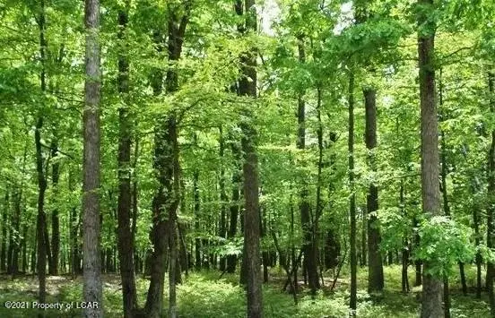 256 NR Turnberry Lane, Hazle Township in Hazle Township