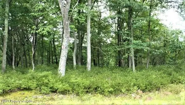 ERIILot447 Crooked Stick Lane, Hazle Township in Hazle Township