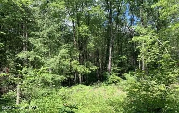 Nevel Hollow Road, Hunlock Creek in Hunlock Creek