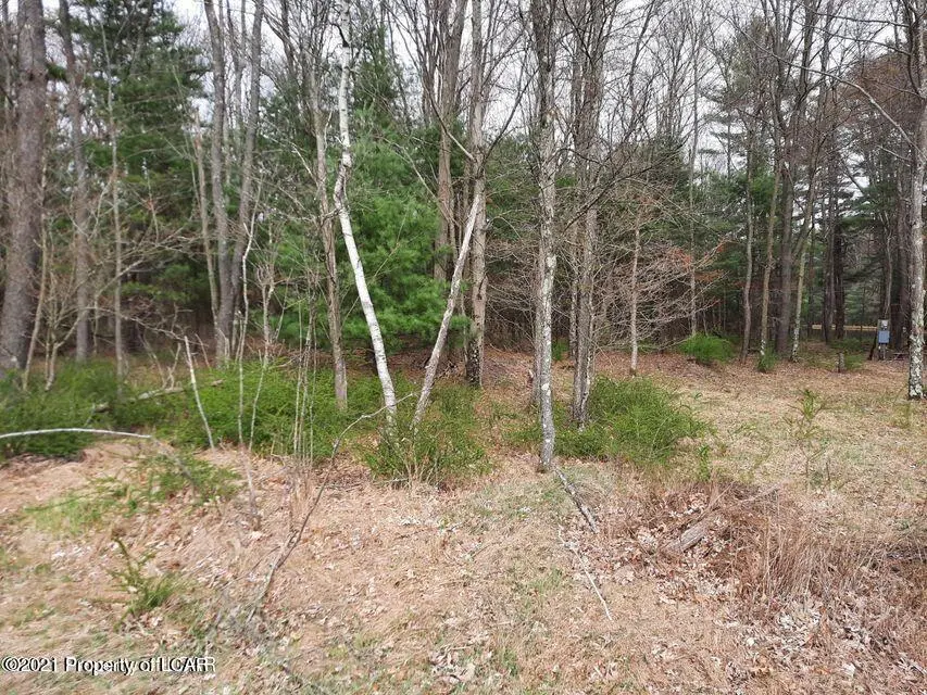 29J Caplos Road, White Haven in White Haven