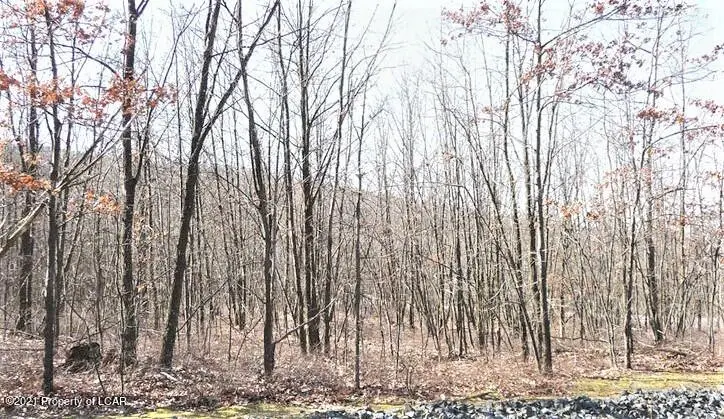 LV Lot 294 Redbud Drive, Hazle Township in Hazle Township