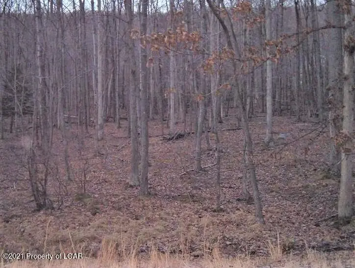 JA Lot 013 E Lake Valley Drive, Hazle Township in Hazle Township