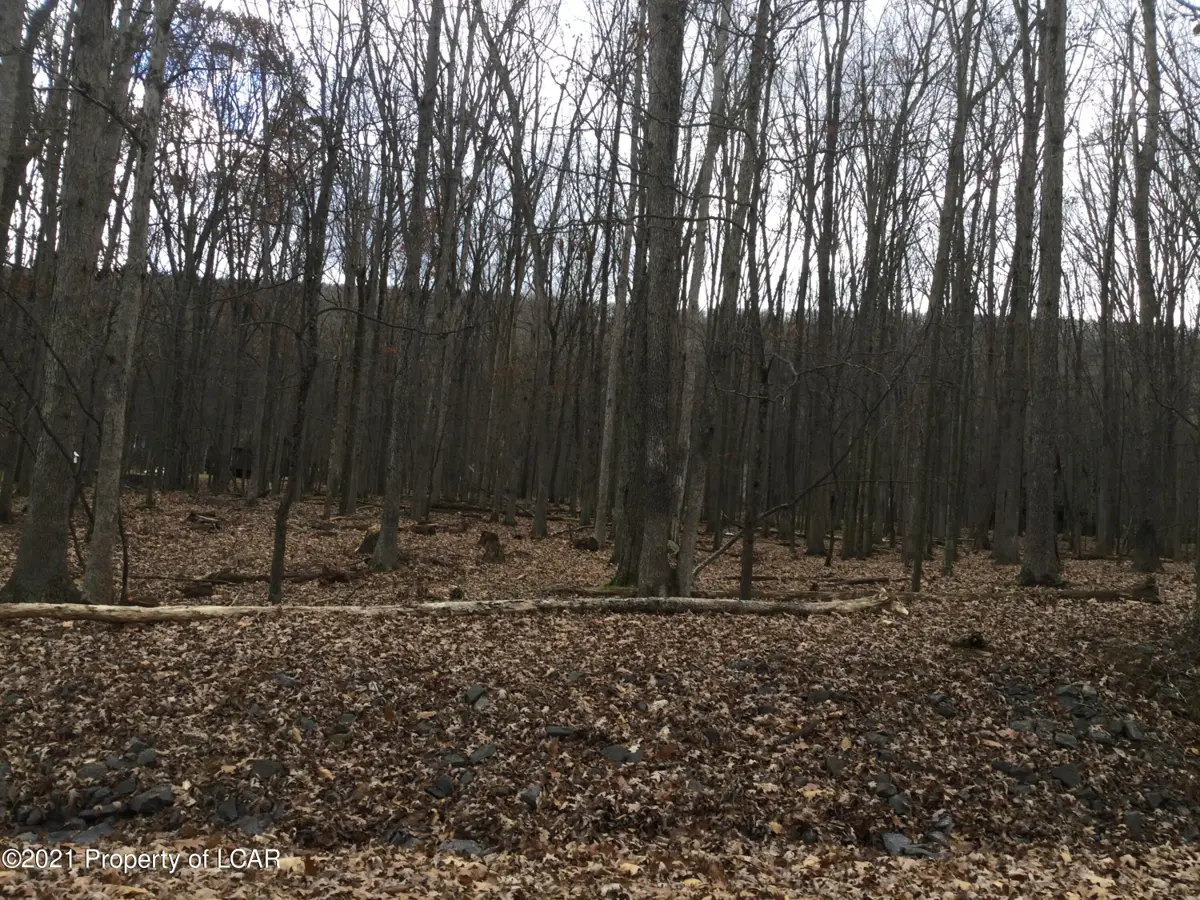 E Lot 117 Conyngham Drive, Hazleton in Hazleton