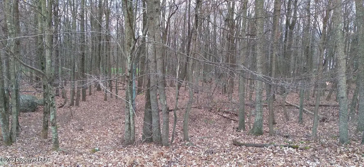 ERII 477 Crooked Stick Lane, Hazle Township in Hazle Township