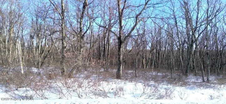 LV Lot 493 Buttonbush Lane, Hazle Township in Hazle Township