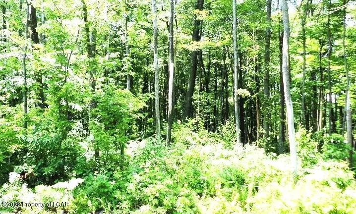 TT Lot 320 Camellia Lane, Hazle Township in Hazle Township