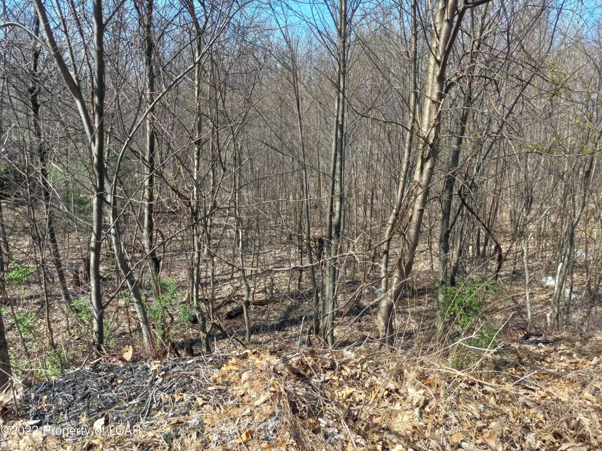 31 Mountain Side Drive, Sugarloaf in Sugarloaf