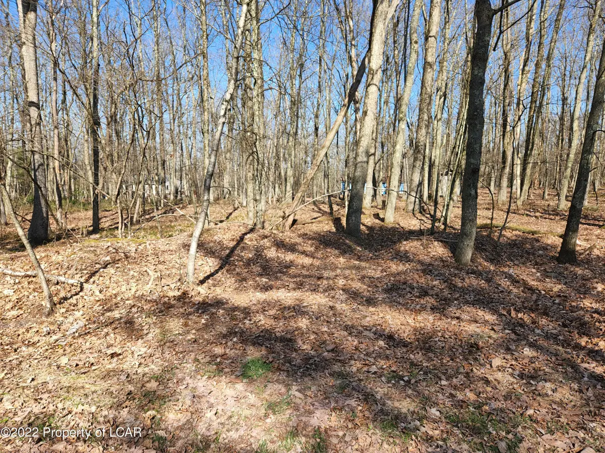 1295 Woodhaven Drive, White Haven in White Haven