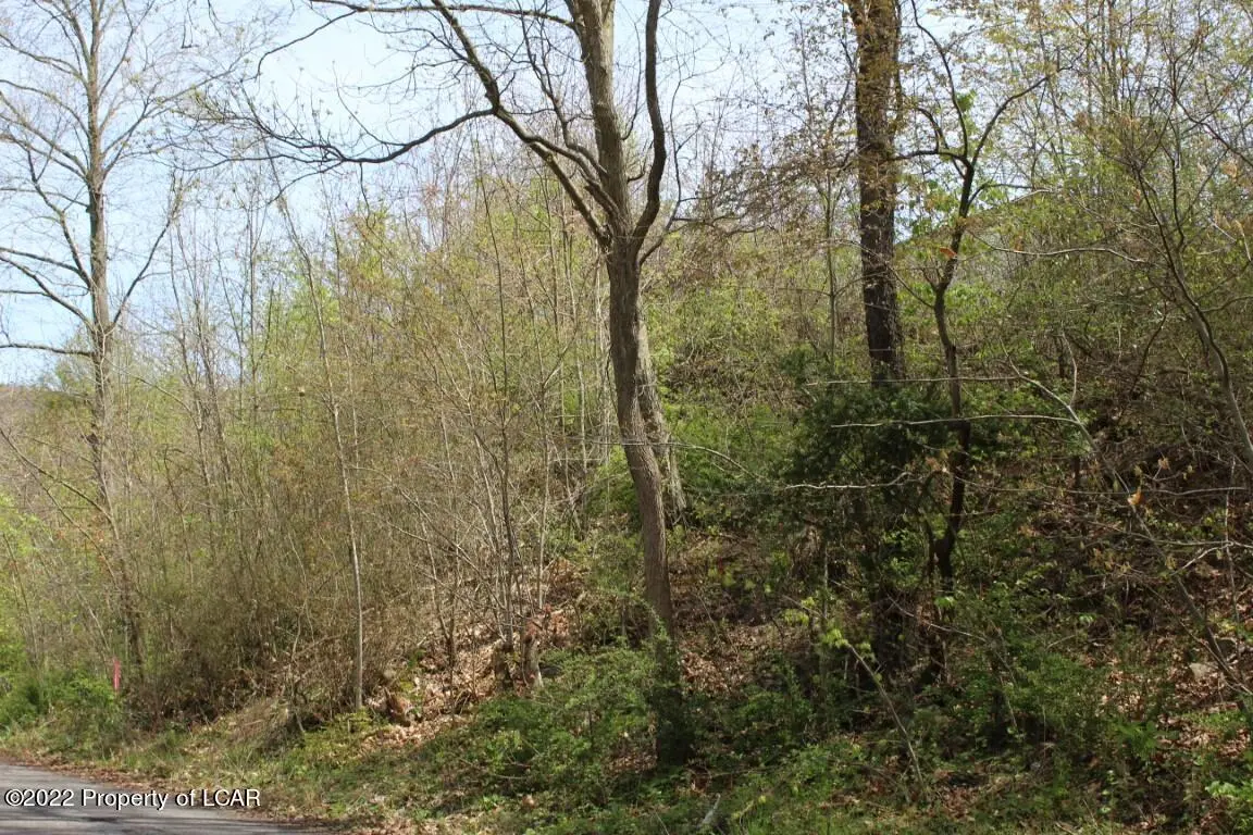 Garfield Street, Nanticoke in Nanticoke