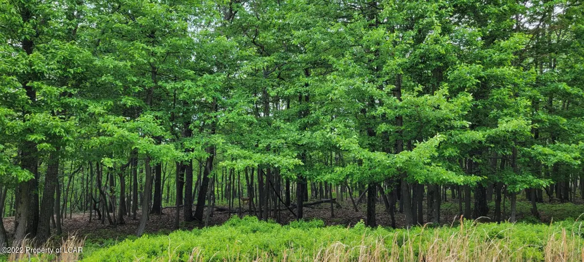 Lot 030 Walden Court, Hazle Township in Hazle Township