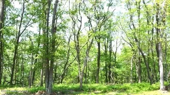 TW Lot 194 Buttonbush Lane, Hazle Township in Hazle Township