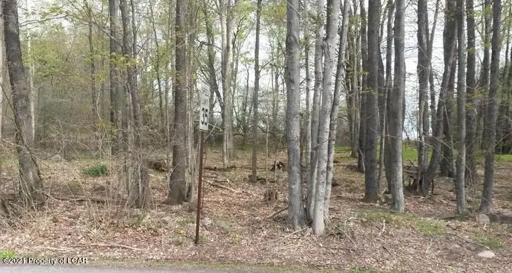 LV Lot 449 Buttonbush Lane, Hazle Township in Hazle Township