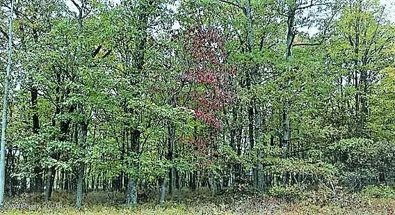 EH Lot417 Royal Aberdeen Drive, Hazle Township in Hazle Township