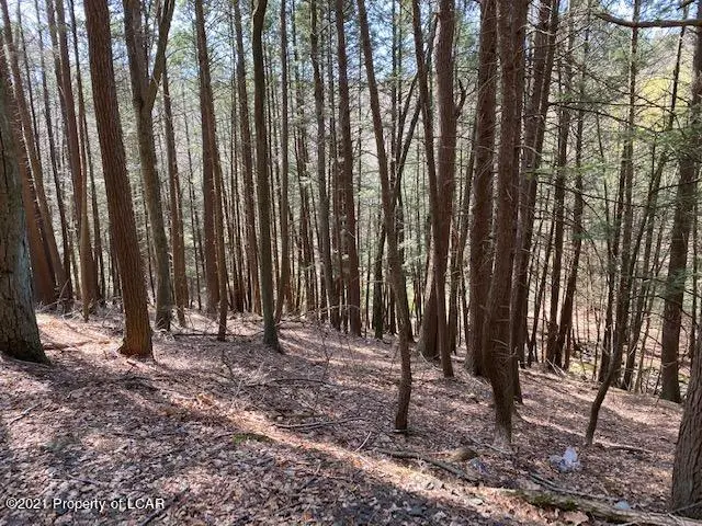 142 Carverton Road, Shavertown in Shavertown