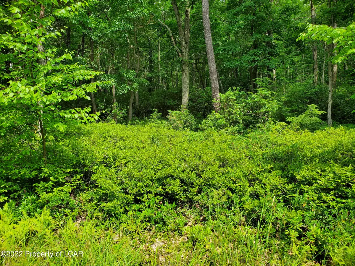 Lot 62 Sandspring Rd, Bear Creek in Bear Creek