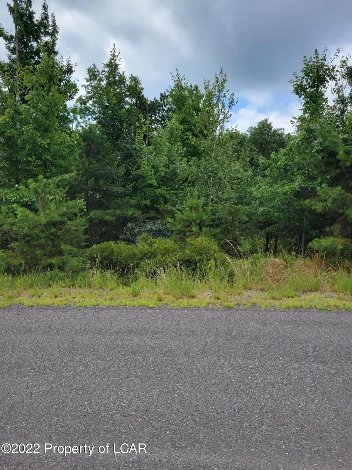 LV 198 Buttonbush Lane, Hazle Township in Hazle Township