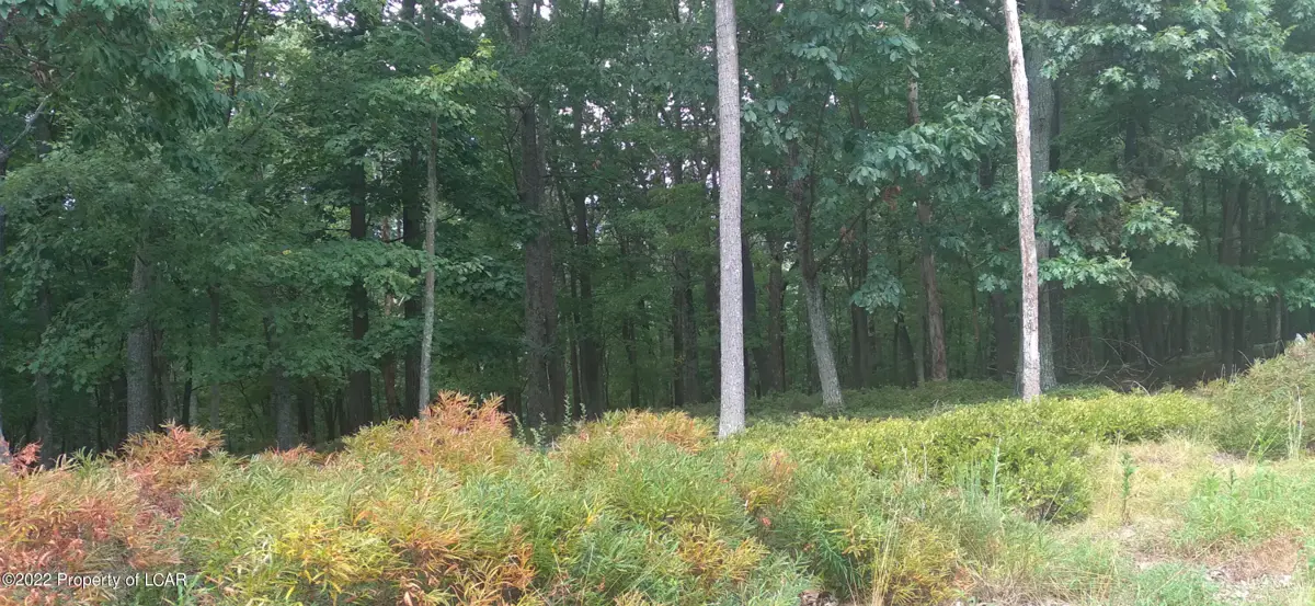 NR Lot 027 Unami Circle, Hazle Township in Hazle Township