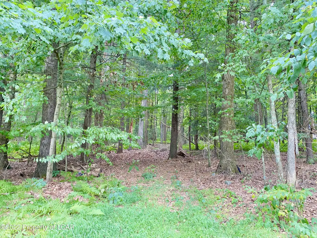 Sandy Beach Road, Wapwallopen in Wapwallopen