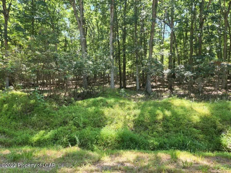 011 Shade Tree Road, White Haven in White Haven