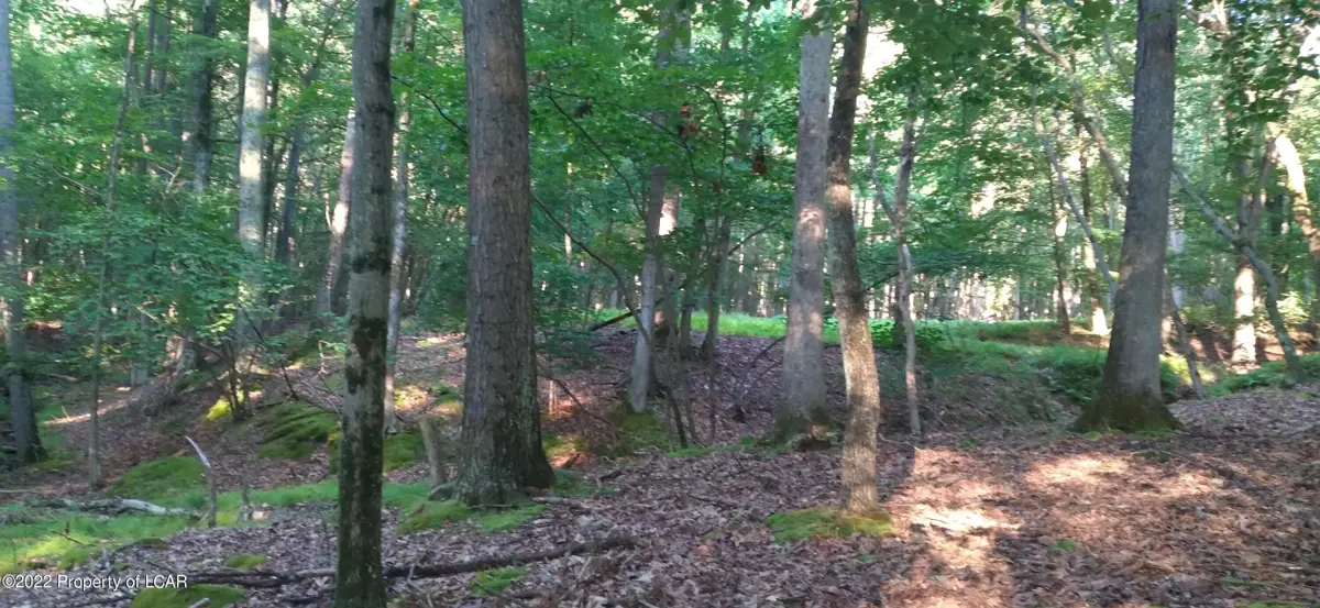 WS Lot 220 Adobe Way, Hazleton in Hazleton