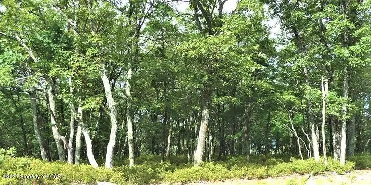 LV Lot 421 Winterberry Way, Hazle Township in Hazle Township