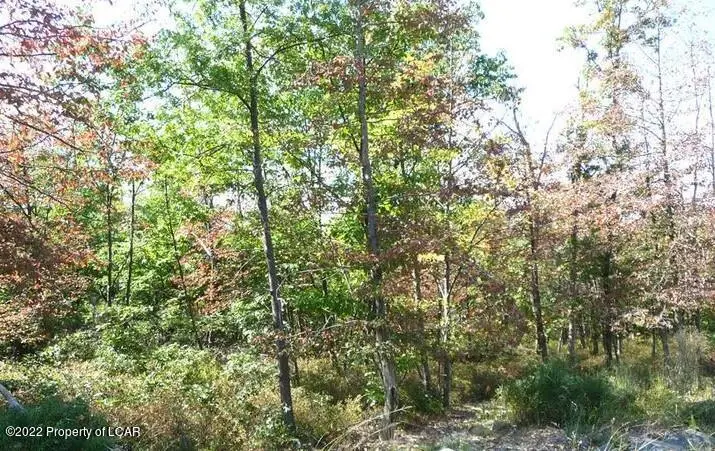 MV Lot 552 Buck Mountain Boulevard, Hazle Township in Hazle Township