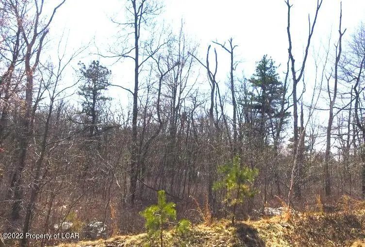 WSS6 Lot 4 Blackhawk Drive, Hazleton in Hazleton
