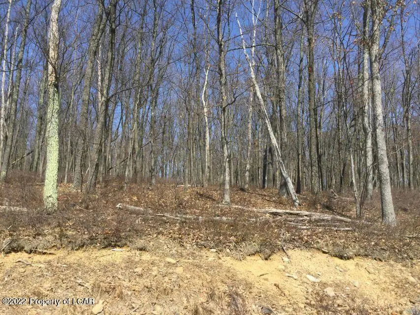 TT Lot 383 Catalpa Court, Hazle Township in Hazle Township