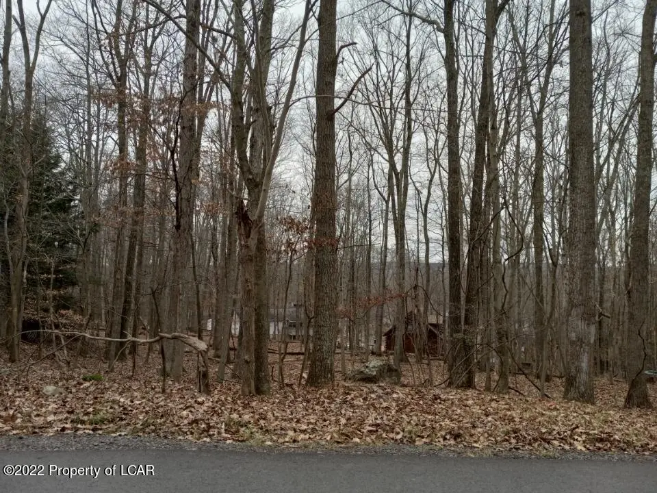lot 038 Bear Run Dr, Drums in Drums