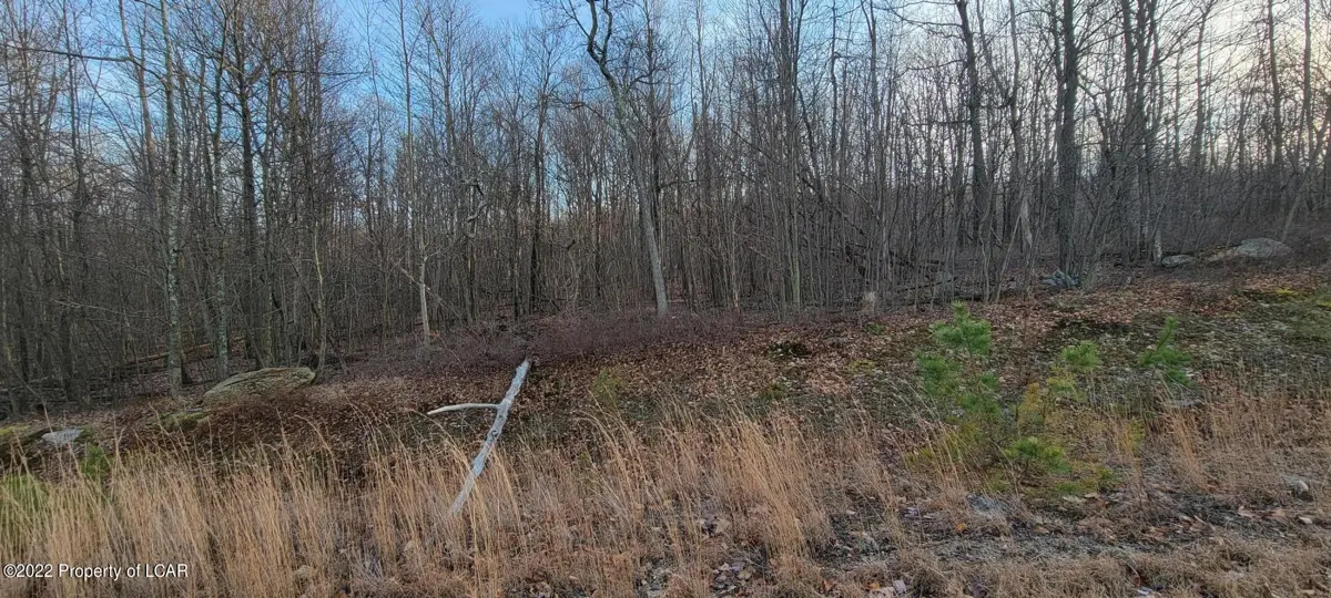 195 N Stoney Mountain Drive, Hazle Township in Hazle Township