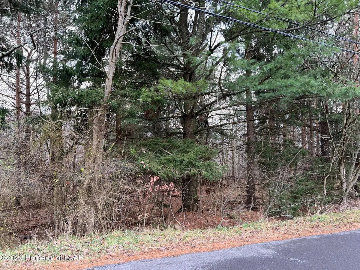 Lot #4 Freedom Road, Drums in Drums