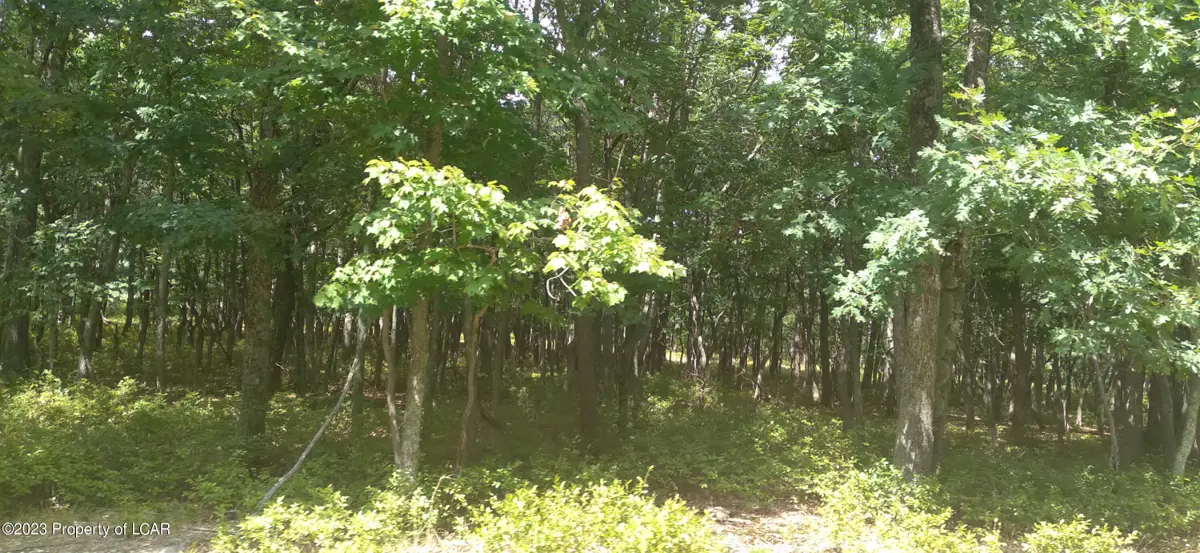 ER Lot 273 Point of Woods, Hazleton in Hazleton